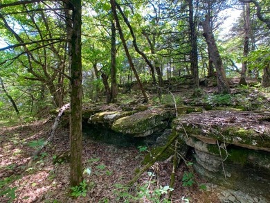 This spectacular lakefront gem near Shell Knob and Emerald Beach - photo 18