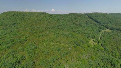 This spectacular lakefront gem near Shell Knob and Emerald Beach - photo 21