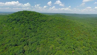This spectacular lakefront gem near Shell Knob and Emerald Beach - photo 22