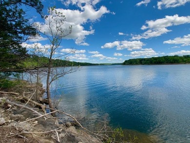 This spectacular lakefront gem near Shell Knob and Emerald Beach - photo 23