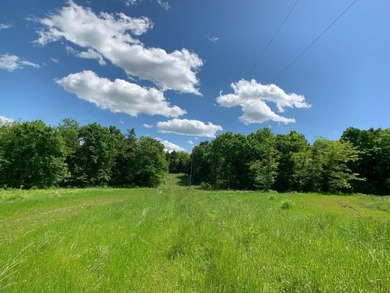 This spectacular lakefront gem near Shell Knob and Emerald Beach - photo 26