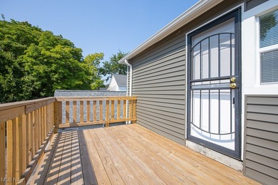 Welcome to 4915 Tillman Ave in Cleveland's Detroit-Shoreway! - photo 28