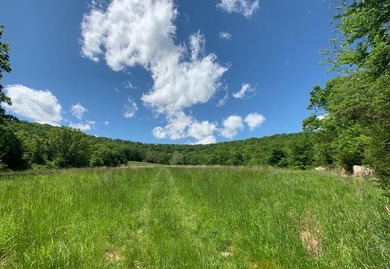 This spectacular lakefront gem near Shell Knob and Emerald Beach - photo 28