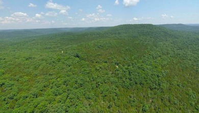 This spectacular lakefront gem near Shell Knob and Emerald Beach - photo 29