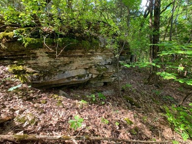 This spectacular lakefront gem near Shell Knob and Emerald Beach - photo 30