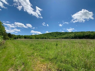 This spectacular lakefront gem near Shell Knob and Emerald Beach - photo 34