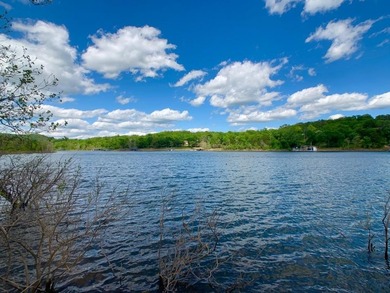 This spectacular lakefront gem near Shell Knob and Emerald Beach - photo 36