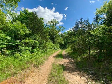 This spectacular lakefront gem near Shell Knob and Emerald Beach - photo 40