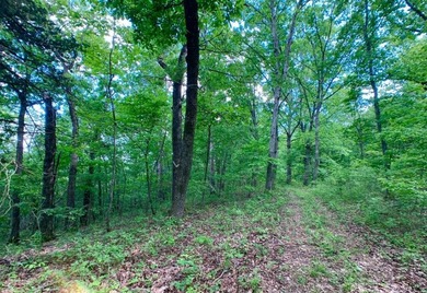 This spectacular lakefront gem near Shell Knob and Emerald Beach - photo 42