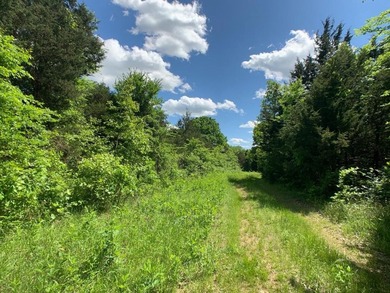 This spectacular lakefront gem near Shell Knob and Emerald Beach - photo 43
