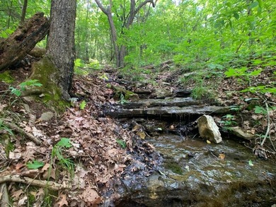 This spectacular lakefront gem near Shell Knob and Emerald Beach - photo 44