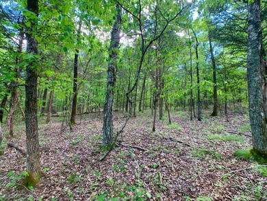 This spectacular lakefront gem near Shell Knob and Emerald Beach - photo 45