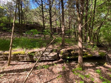 This spectacular lakefront gem near Shell Knob and Emerald Beach - photo 46