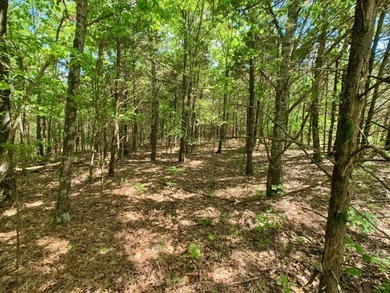 This spectacular lakefront gem near Shell Knob and Emerald Beach - photo 49