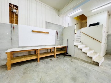 Lake Area 3 Bedroom, 3 Bath House with LARGE Basement Garage - photo 45