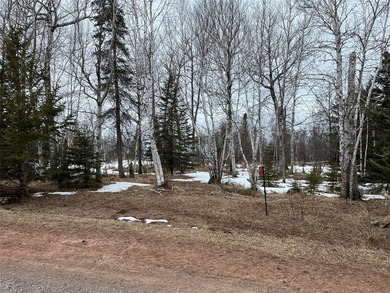 Lake Superior - Douglas County Lot For Sale in Poplar Wisconsin
