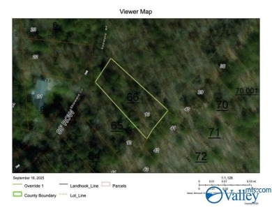 Lake Lot For Sale in Scottsboro, Alabama