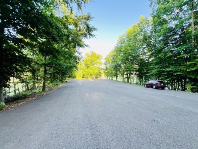 Lake Area 3 Bedroom, 3 Bath House with LARGE Basement Garage - photo 49