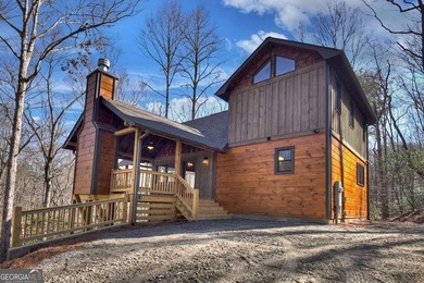 (private lake, pond, coastal) Home For Sale in Blue Ridge Georgia
