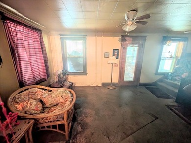 Another Rockin' Rochester Property! METAL ROOF. 2020 water - photo 4