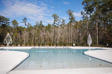 Are you looking for a spacious home in the St. James School - photo 36
