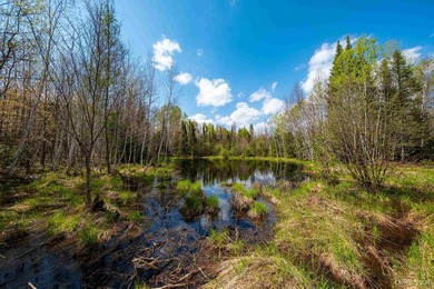 Welcome to an unparalleled opportunity to own a premier - photo 50