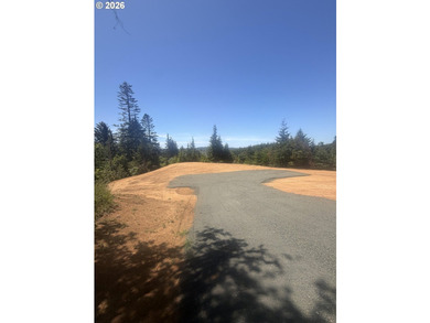 Build your dream home on this beautiful 1+ acre buildable lot! - photo 5