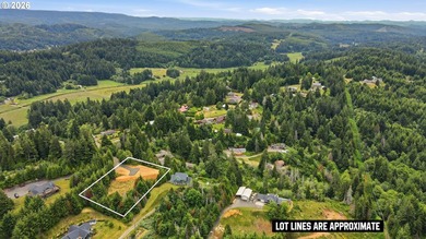 Build your dream home on this beautiful 1+ acre buildable lot! - photo 9