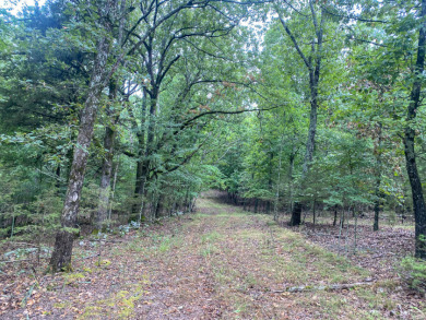 Beauty at its finest with this 29.52 acres of land!!!  - Lake Acreage For Sale in Thornfield, Missouri