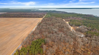 Located in the desirable Southview Shores neighborhood, this - photo 10