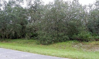 Lake Marion - Polk County Lot For Sale in Poinciana Florida