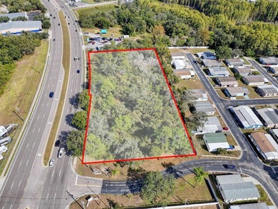 Large Commercial parcel with +-445 front feet on State Rd 52 - photo 22