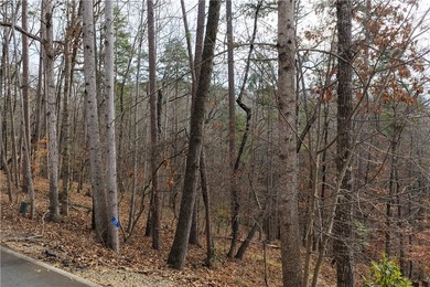 Waterfront Opportunity in Keowee Key! Don't miss this chance to - photo 4