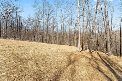 *Agent Owned* A modern new construction delight just a half mile - photo 41