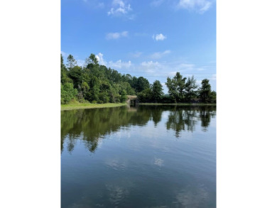 Lake Lot For Sale in Georgetown, Alabama