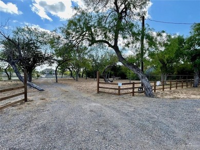 Waterfront lot on Lion Lake Dr. recently cleared except for the - photo 1