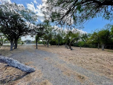 Waterfront lot on Lion Lake Dr. recently cleared except for the - photo 2