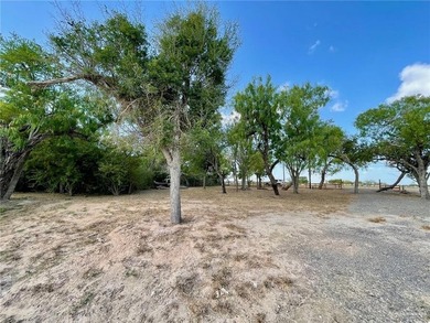 Waterfront lot on Lion Lake Dr. recently cleared except for the - photo 3
