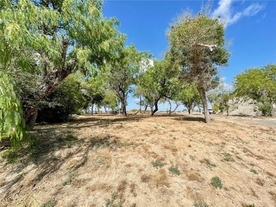 Waterfront lot on Lion Lake Dr. recently cleared except for the - photo 4