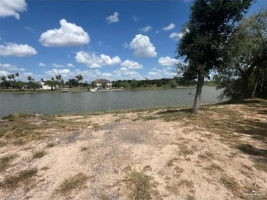 Waterfront lot on Lion Lake Dr. recently cleared except for the - photo 6