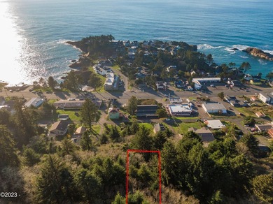 Package deal!! Two ocean view lots right in the heart of Depoe - photo 1