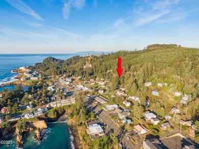 Package deal!! Two ocean view lots right in the heart of Depoe - photo 6