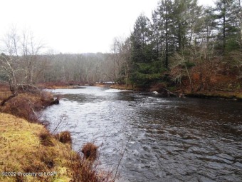 Lehigh River Acreage For Sale in Thornhurst Pennsylvania