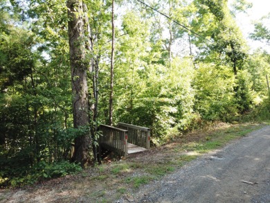 Lewis Smith Lake Lot For Sale in Arley Alabama
