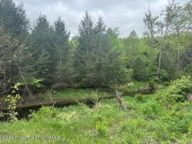 Lake Acreage For Sale in Tunkhannock, Pennsylvania