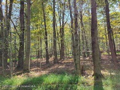 Big Bass Lake Lot For Sale in Clifton Twp Pennsylvania