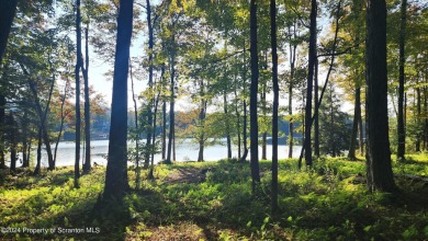 Dunn Lake Acreage For Sale in Thompson Pennsylvania