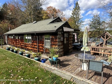 Willis Lake Home Sale Pending in Thompson Pennsylvania