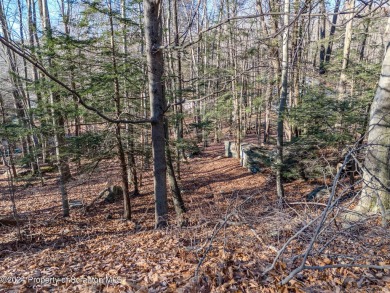 Lake Lot For Sale in Lake Ariel, Pennsylvania