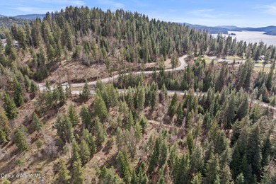 One-of-a-kind legacy property located just 10 minutes from Coeur - photo 10